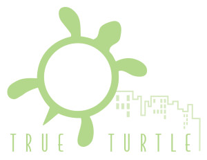 411 Varnum Street - True Turtle logo